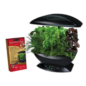 Aerogrow Gourmet Herbs Seed Kit