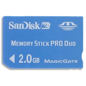 Sandisk 2GB Mini SD Card