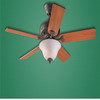 HUNTER 22431 The Brookline Provencial Gold Ceiling Fan