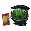 Aerogrow Gourmet Herbs Seed Kit