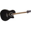 Applause AE1285 - Acoustic/Electric -Black