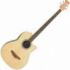 Applause AE1404 - Acoustic/Electric Bass Guitar