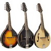 Asheville A-Style Mandolin - Black