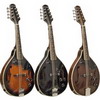 Asheville Acoustic/Electric A-Style Mandolin - Black