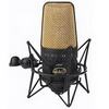 CAD Mics Equitek E300 Multi-pattern Condenser Microphone