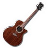 DEAN Exotica Walnut Acoustic/Electric Guitar