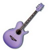 DAISY ROCK Wildwood Artist Series Acoustic/Electric Guitar - Purple Daze