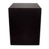 Proficient S12 12 Inch Powered Subwoofer