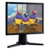 Viewsonic VP191b 19'' LCD Monitor (19'' 1280x1024 DVI PC/Mac)